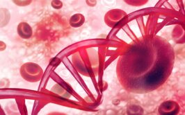 Identify Symptoms - Blood cancer