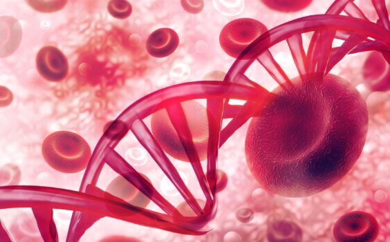 Identify Symptoms - Blood cancer